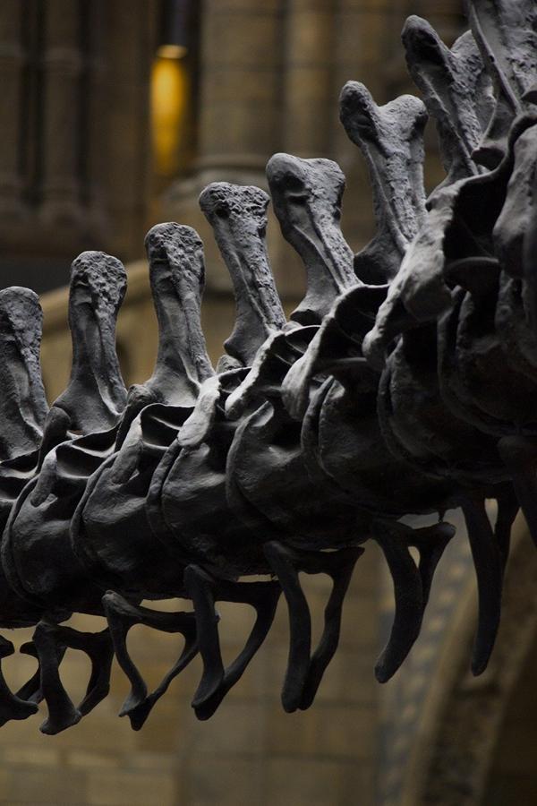 Niesamowity Park Dinozaurów w Krasiejowie